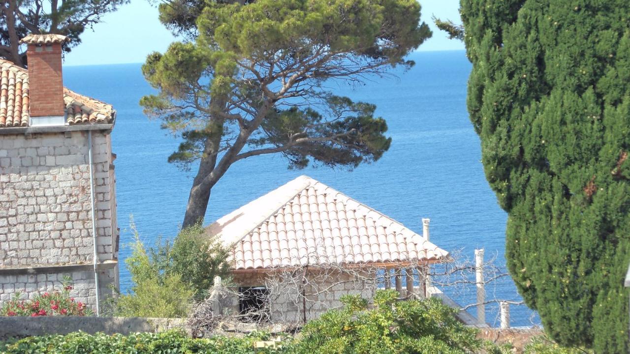 Villa Elly Dubrovnik Exterior photo
